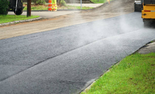 Best Driveway Paving Contractor  in La Junta, CO